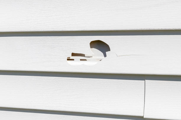 Affordable siding repair and maintenance services in Nampa, ID